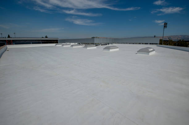 Best Rubber Roofing (EPDM, TPO)  in Belle Plaine, IA