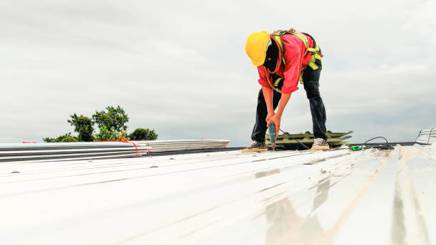Best Asphalt Shingle Roofing  in Belle Plaine, IA