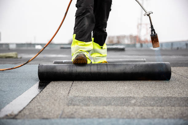 Best Solar Panel Roofing Installation  in Belle Plaine, IA