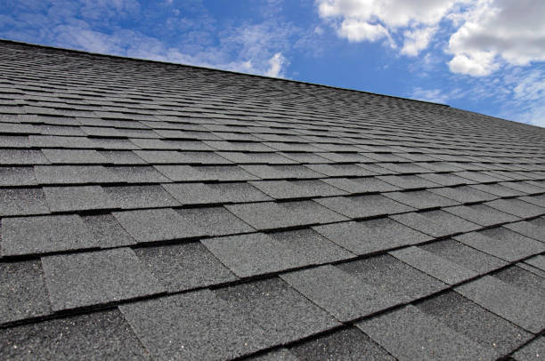 Best Roof Leak Repair  in Belle Plaine, IA