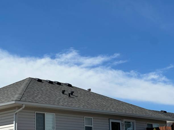  Belle Plaine, IA Roofing Service Pros
