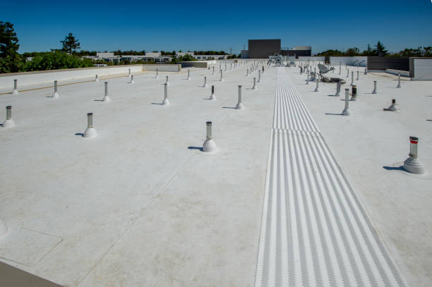 Best Steel Roofing  in Belle Plaine, IA